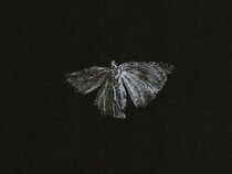 今日１日を、このイラストと。大脇 勇人vol.30