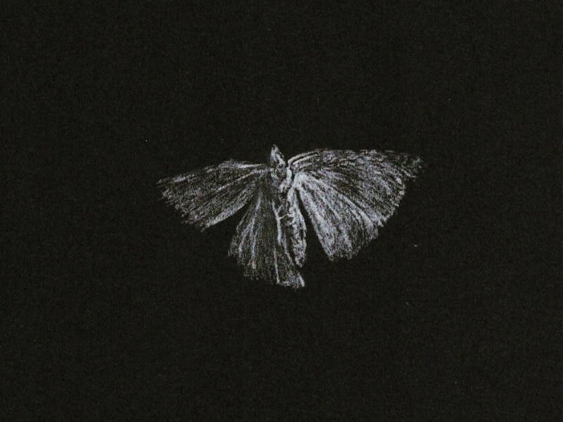 今日1日を、このイラストと。大脇 勇人vol.30