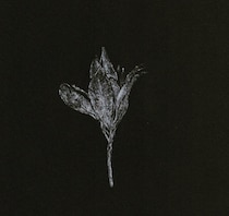 9月の「今日１日を、このイラストと」。大脇 勇人さんの作品をまとめて振り返り。