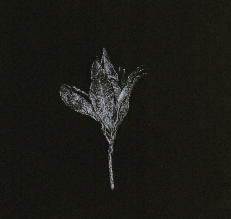 9月の「今日1日を、このイラストと」。大脇 勇人さんの作品をまとめて振り返り。