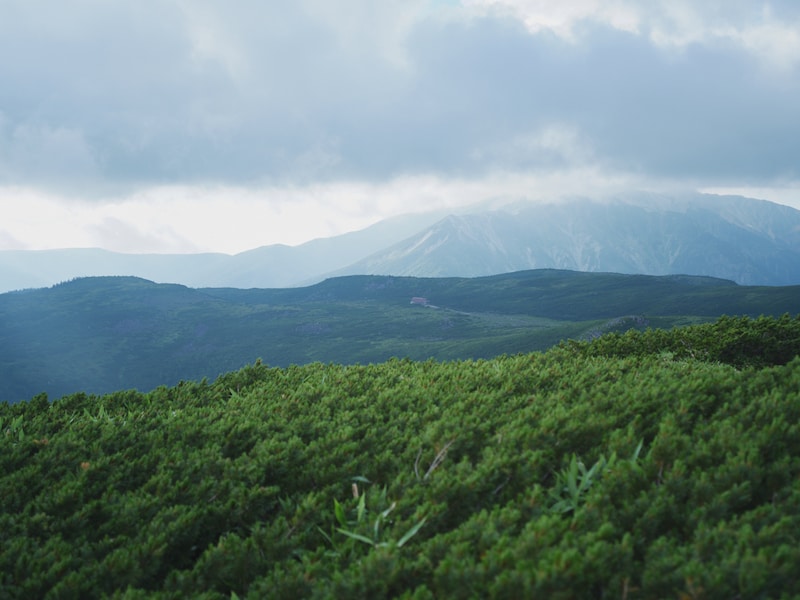 9月の「今月の写真家、今日の一枚」。柿崎 豪さんの作品をまとめて振り返り。