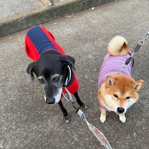 ハルくんは、おやつの前では超おりこう。