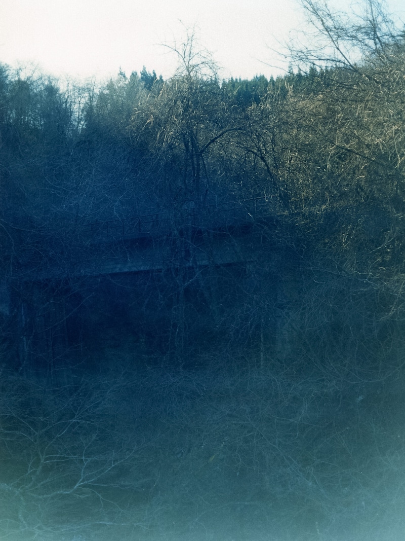 今月の写真家、今日の一枚。那須野 友暉 vol.3