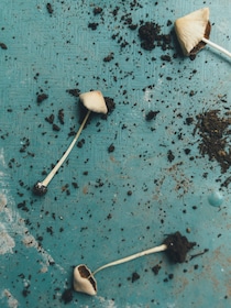 今月の写真家、今日の一枚。那須野 友暉 vol.4