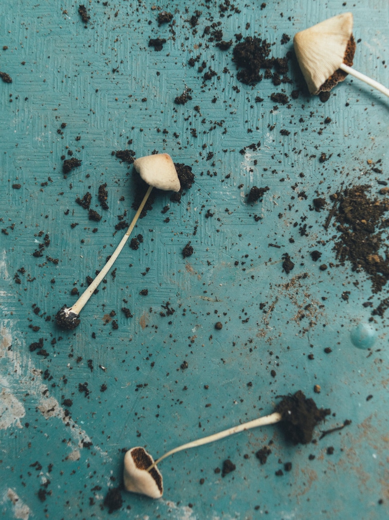 今月の写真家、今日の一枚。那須野 友暉 vol.4