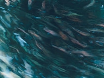 今月の写真家、今日の一枚。那須野 友暉 vol.9