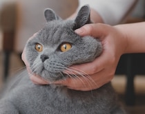 ウィンウィンの関係？ 【ごまちゃん、今日も自由気まま。】毎日更新中。