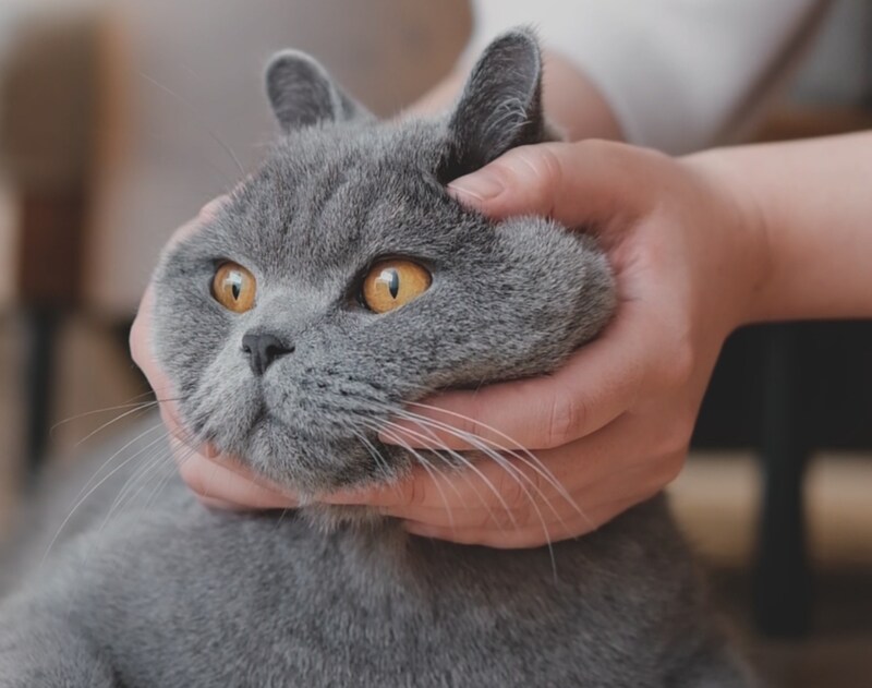 ウィンウィンの関係？ 【ごまちゃん、今日も自由気まま。】毎日更新中。