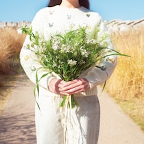 淡いピンクの花が繊細で可憐な表情のシレネ。