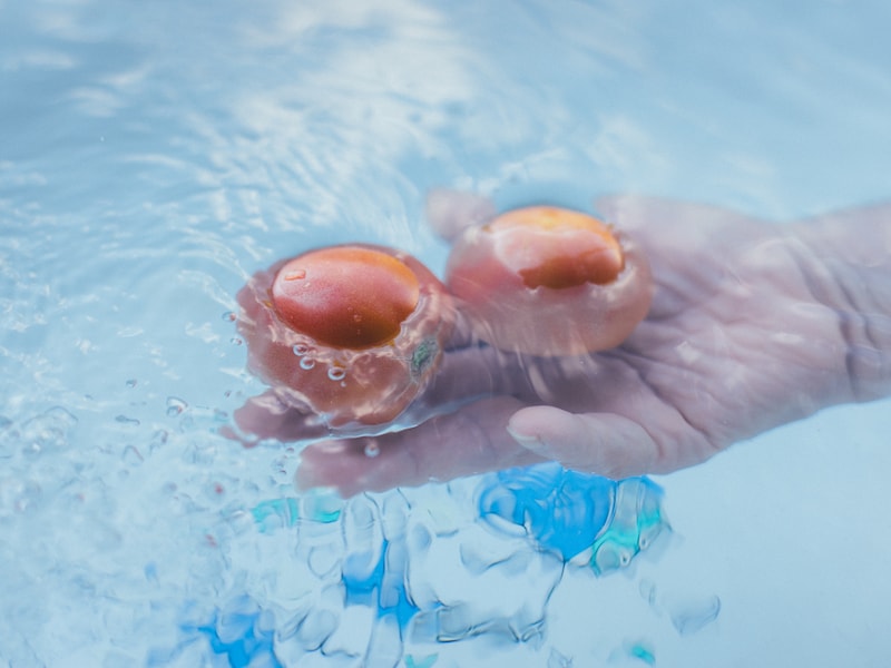 今月の写真家、今日の一枚。1月の写真家は、那須野 友暉さん。