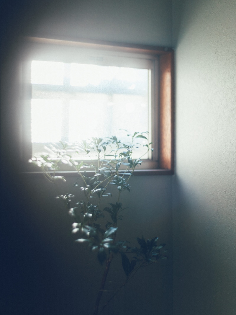 今月の写真家、今日の一枚。1月の写真家は、那須野 友暉さん。