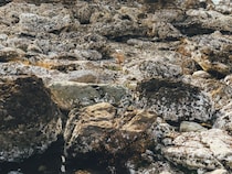 今月の写真家、今日の一枚。那須野 友暉 vol.22