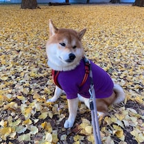 冬に佇み、もの思う……ハルくん。って感じ。