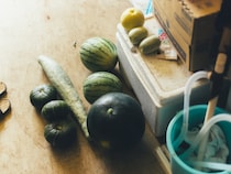 今月の写真家、今日の一枚。那須野 友暉 vol.24