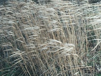 今月の写真家、今日の一枚。那須野 友暉 vol.25