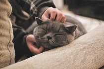 とろけ顔、見せちゃいます。【ごまちゃん、今日も自由気まま。vol.24】