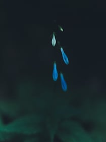 今月の写真家、今日の一枚。1月の写真家・那須野 友暉さんの写真を、まとめてどうぞ。