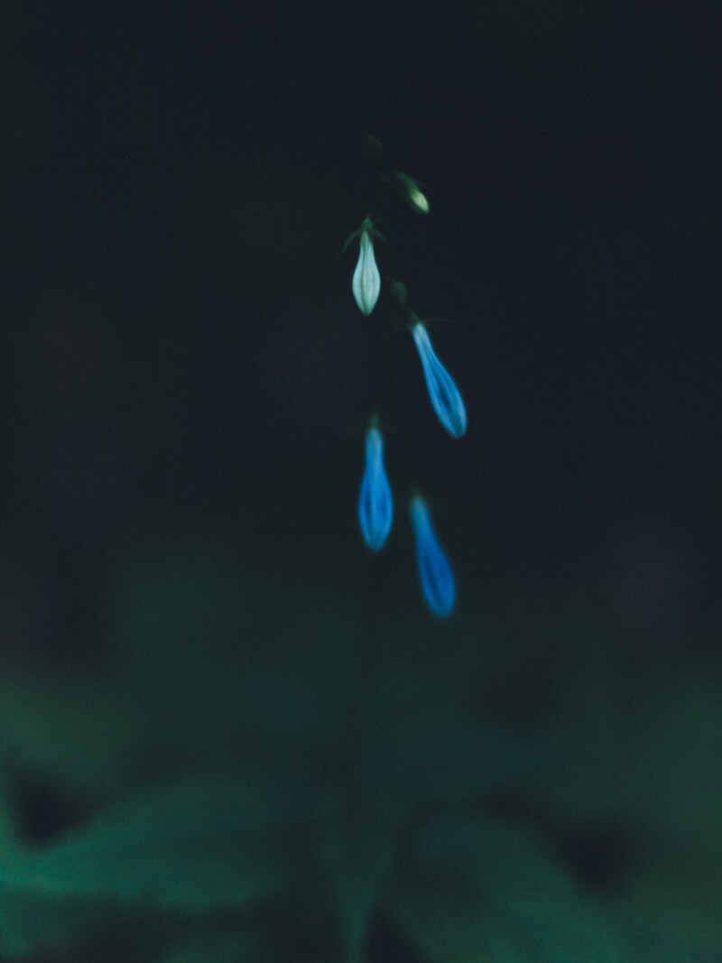 今月の写真家、今日の一枚。1月の写真家・那須野 友暉さんの写真を、まとめてどうぞ。