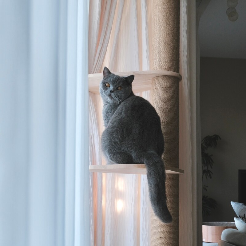 また、遊びにきてくださいね。【ごまちゃん、今日も自由気まま。】最終回は、こちらから。