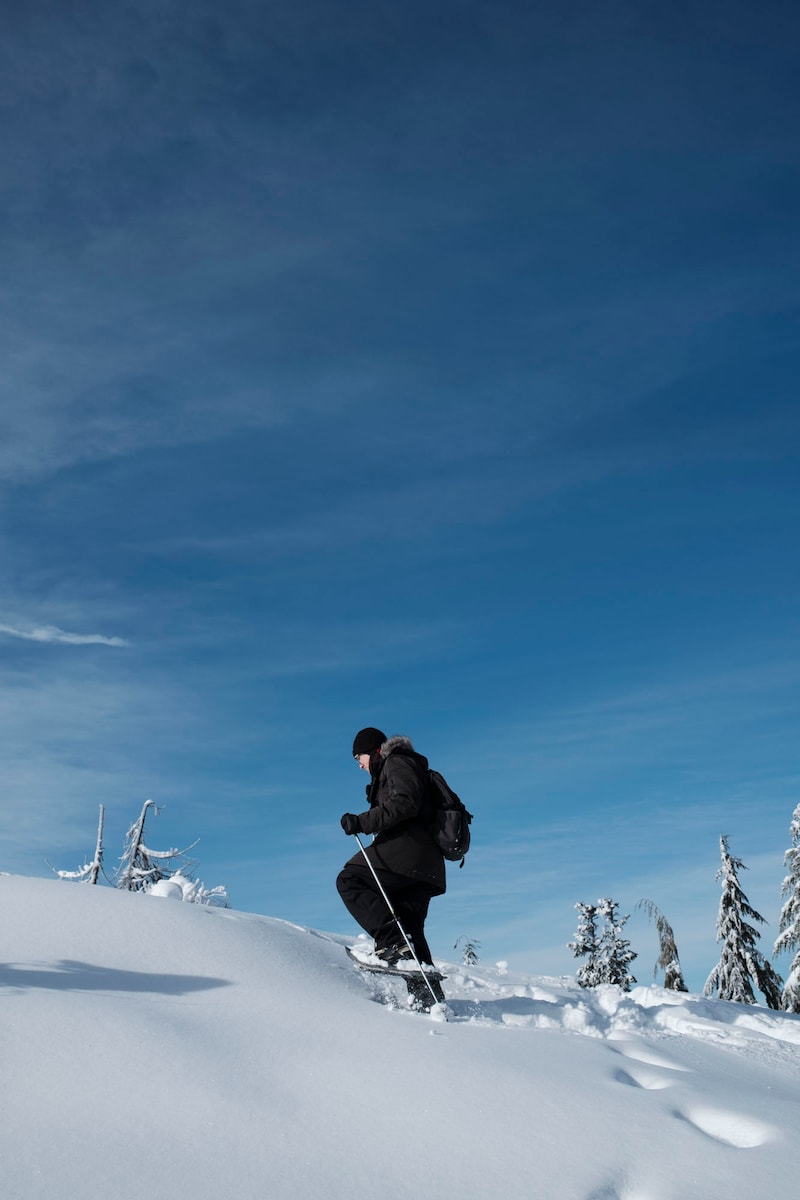 今月の写真家、今日の一枚。山崎 智世 vol.2