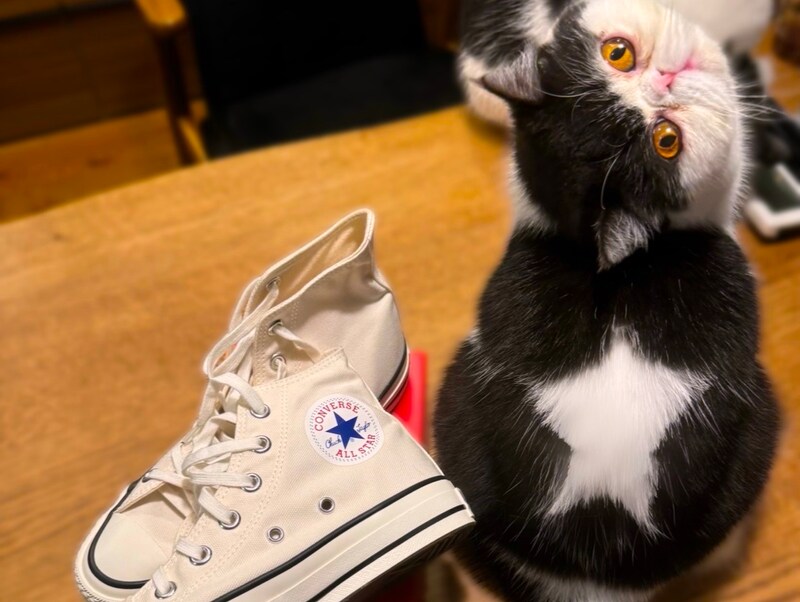 スターへの道、見届けてね。今日から新連載【ちろり、スターへの道のり。】がスタート。本誌サイトにて、1か月間毎日更新です。