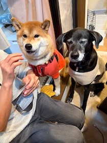 ぼくたち主役の新年会に行ってきました！ずーっと新年が続けばいいのに。