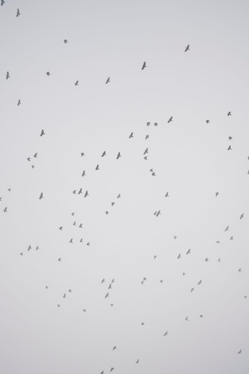 今月の写真家、今日の一枚。山崎 智世 vol.3