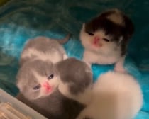 バブバブ期のあたし。【ちろり、スターへの道のり。vol.2】