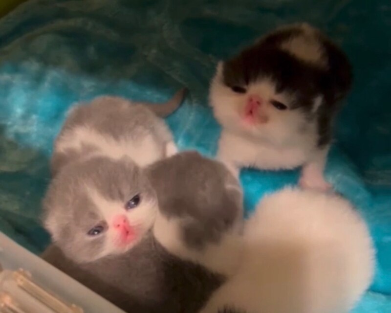 バブバブ期のあたし。【ちろり、スターへの道のり。vol.2】