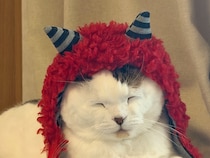 これ、防寒にいいねん。【いなほ、オレ物語。】