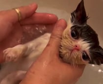 お風呂好きは、赤ちゃんの頃から。【ちろり、スターへの道のり。vol.3】