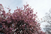 今月の写真家、今日の一枚。山崎 智世 vol.7