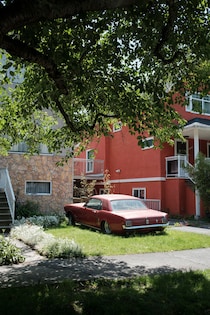 今月の写真家、今日の一枚。2月の写真家は、山崎 智世さん。