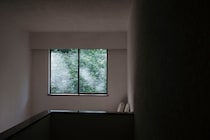 今月の写真家、今日の一枚。山崎 智世 vol.10