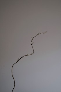 今月の写真家、今日の一枚。山崎 智世 vol.11