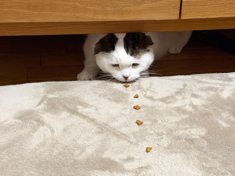 背に腹はかえられぬ……。【いなほ、オレ物語。】