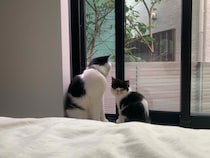 教えて、お父ちゃん。【ちろり、スターへの道のり。vol.11】