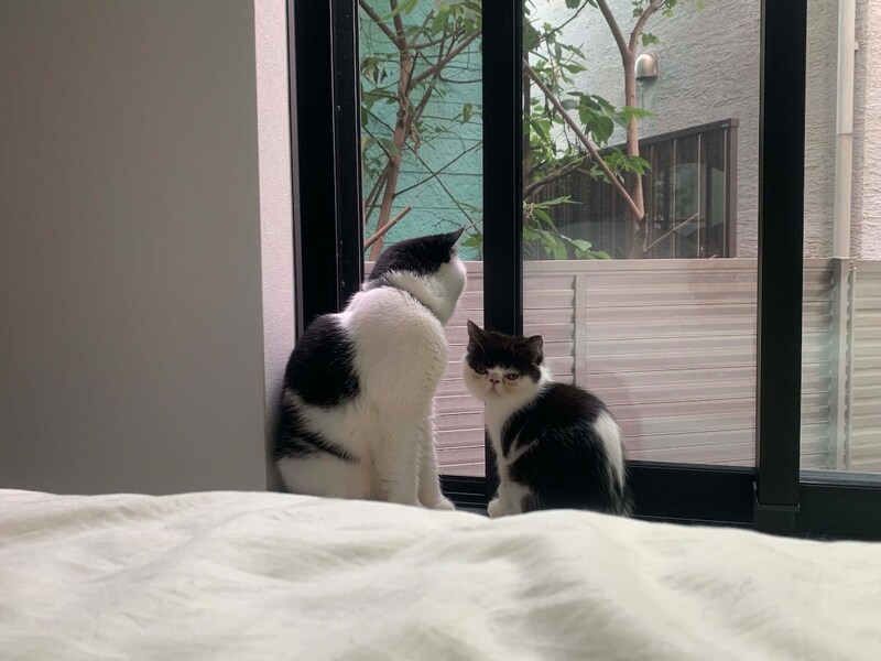 教えて、お父ちゃん。【ちろり、スターへの道のり。vol.11】