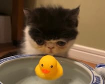 水を飲むのは得意なのよ！【ちろり、スターへの道のり。vol.12】