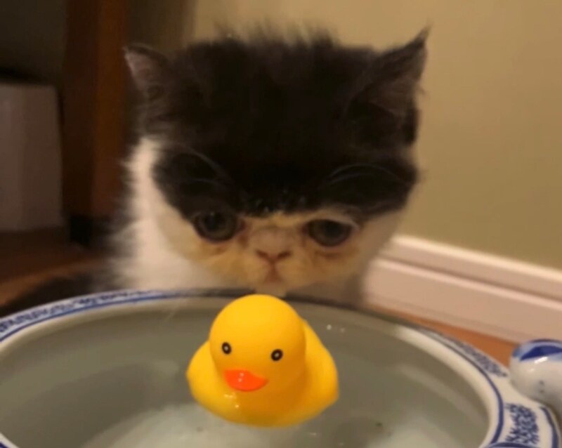 水を飲むのは得意なのよ!【ちろり、スターへの道のり。vol.12】