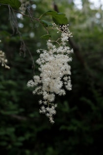 今月の写真家、今日の一枚。山崎 智世 vol.15