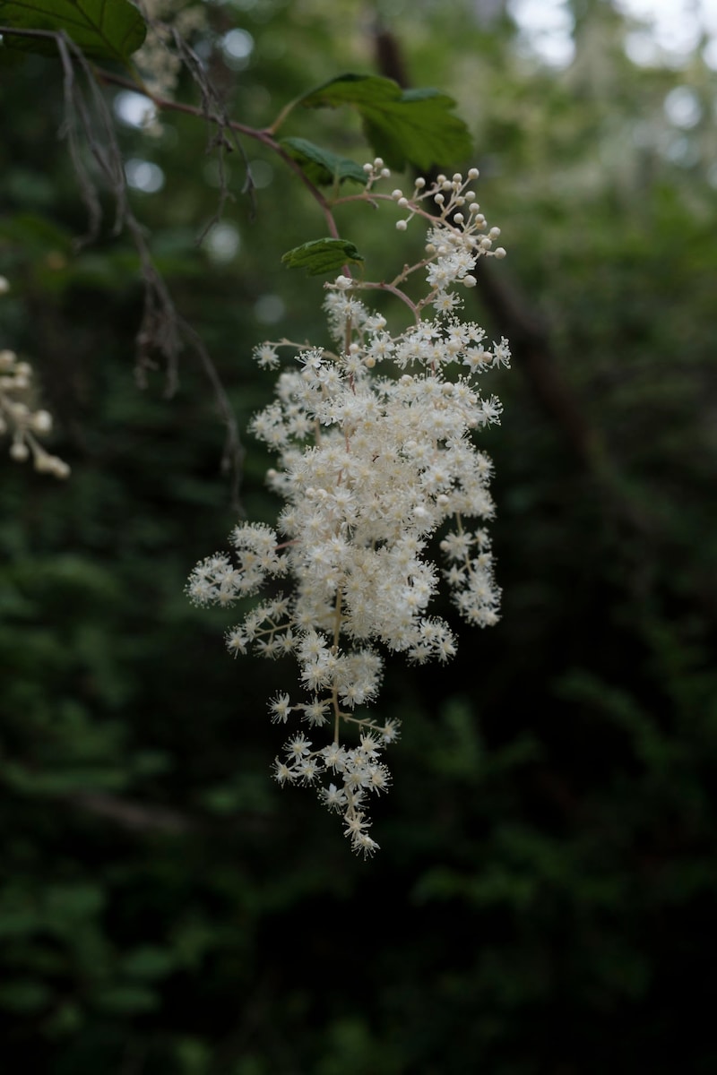 今月の写真家、今日の一枚。山崎 智世 vol.15