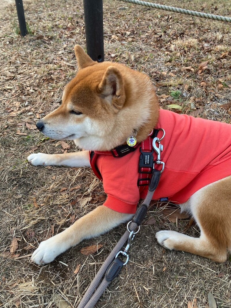 ちょっと休憩長くないですか!? おやつのひと言を、待っている。