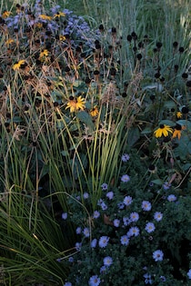 今月の写真家、今日の一枚。山崎 智世 vol.17