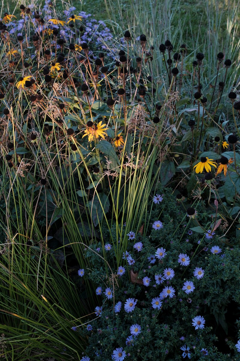 今月の写真家、今日の一枚。山崎 智世 vol.17