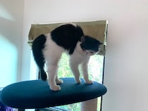 おひとり満喫派のあたし。【ちろり、スターへの道のり。vol.16】