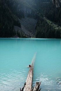 今月の写真家、今日の一枚。2月の写真家は、山崎 智世さん。