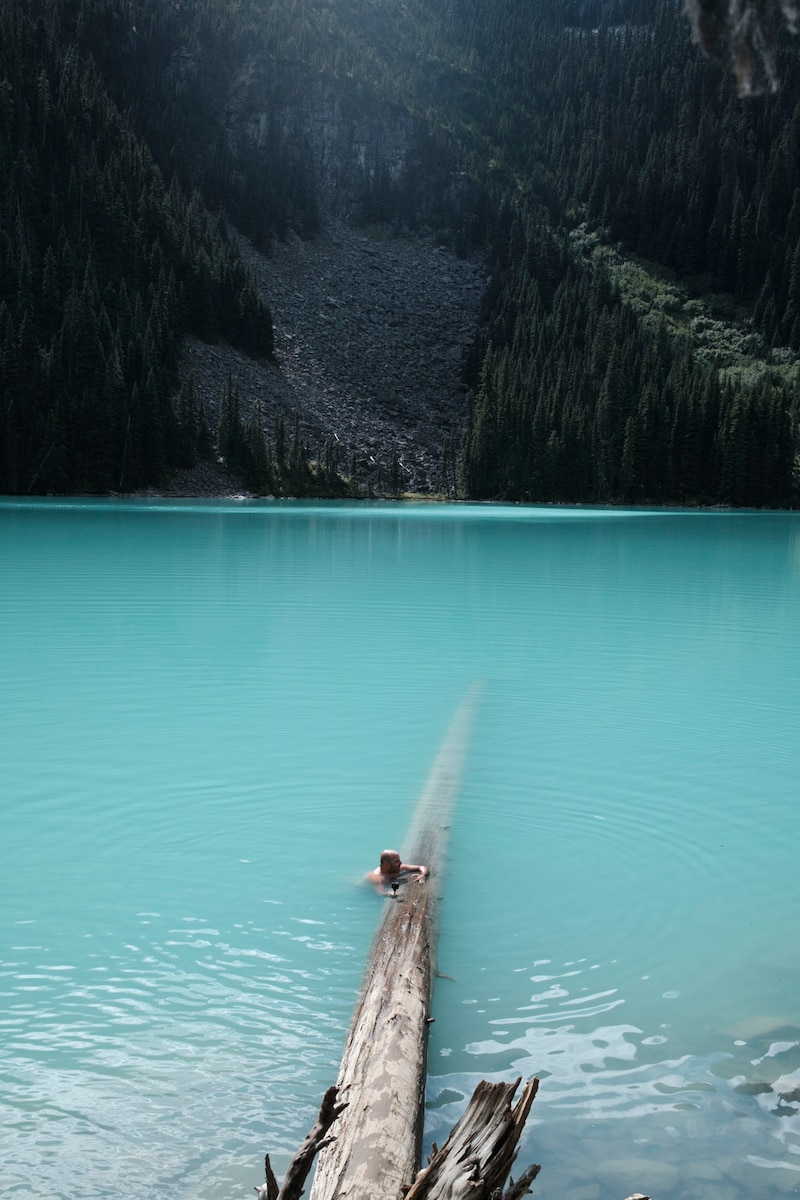 今月の写真家、今日の一枚。2月の写真家は、山崎 智世さん。