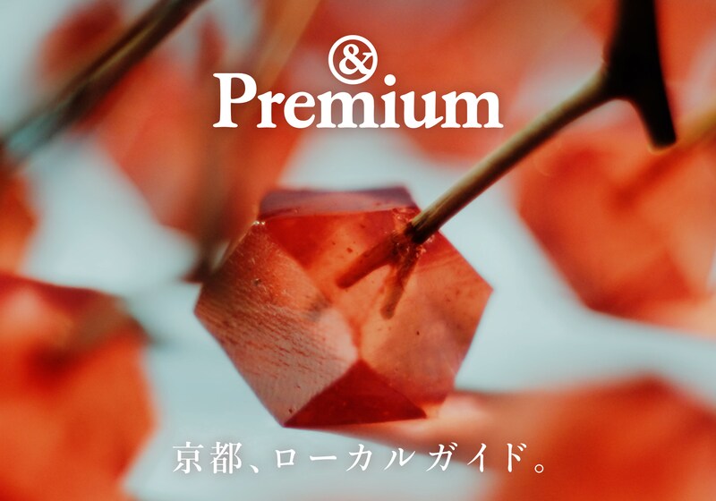 〈御菓子丸〉杉山早陽子さんが、和菓子で生み出す京都の風景。