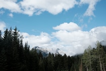 今月の写真家、今日の一枚。山崎 智世 vol.20